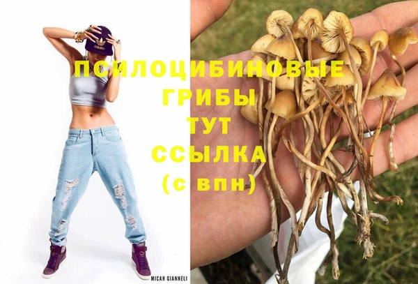 Альфа ПВП Армянск